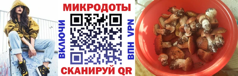 Псилоцибиновые грибы Psilocybine cubensis  Истра 