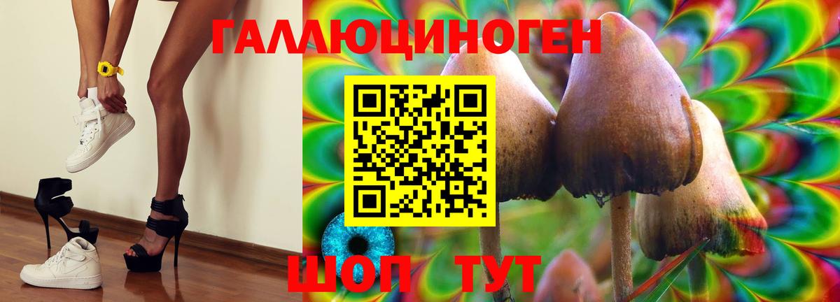 Истра  Галлюциногенные грибы прущие грибы  Вход с VPN 