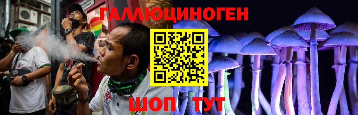 Псилоцибиновые грибы Psilocybe Истра